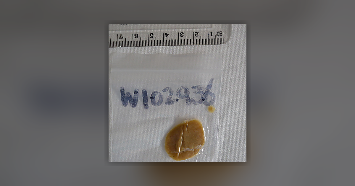 White Gold Melt 68% Thca