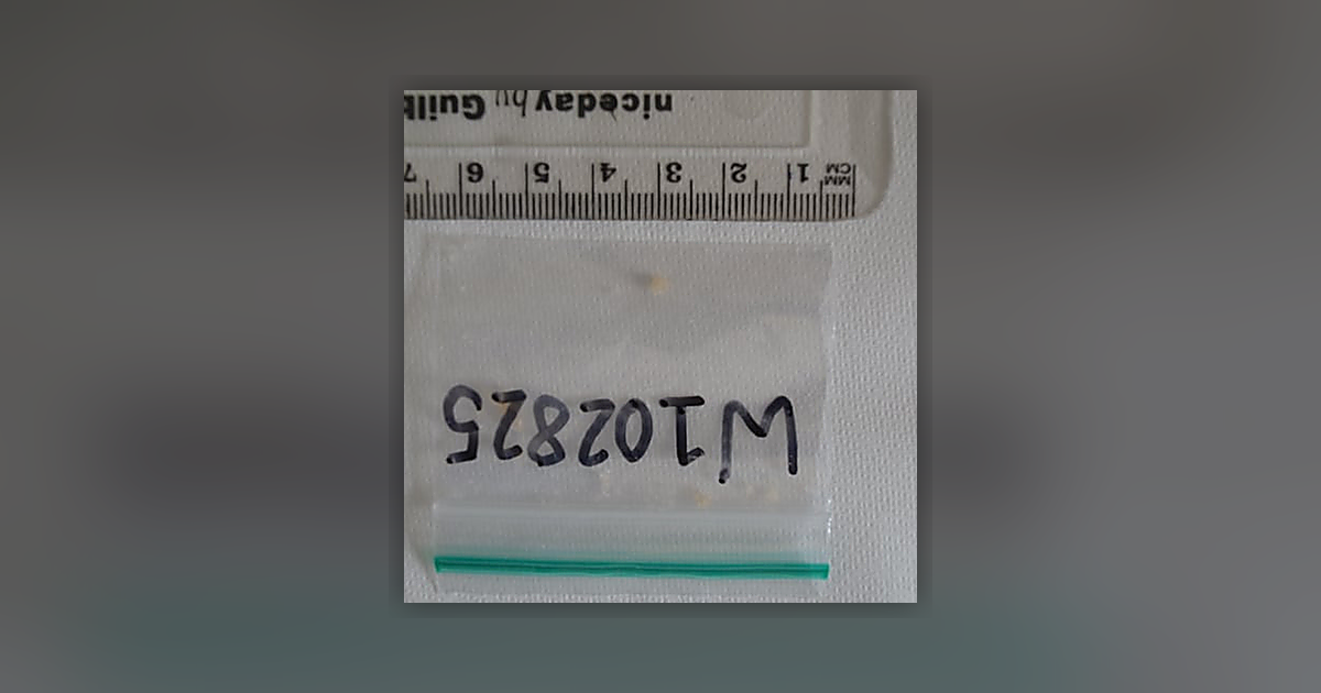 MDMA