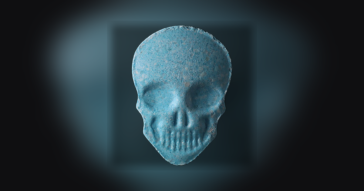 Skull, MyBrand