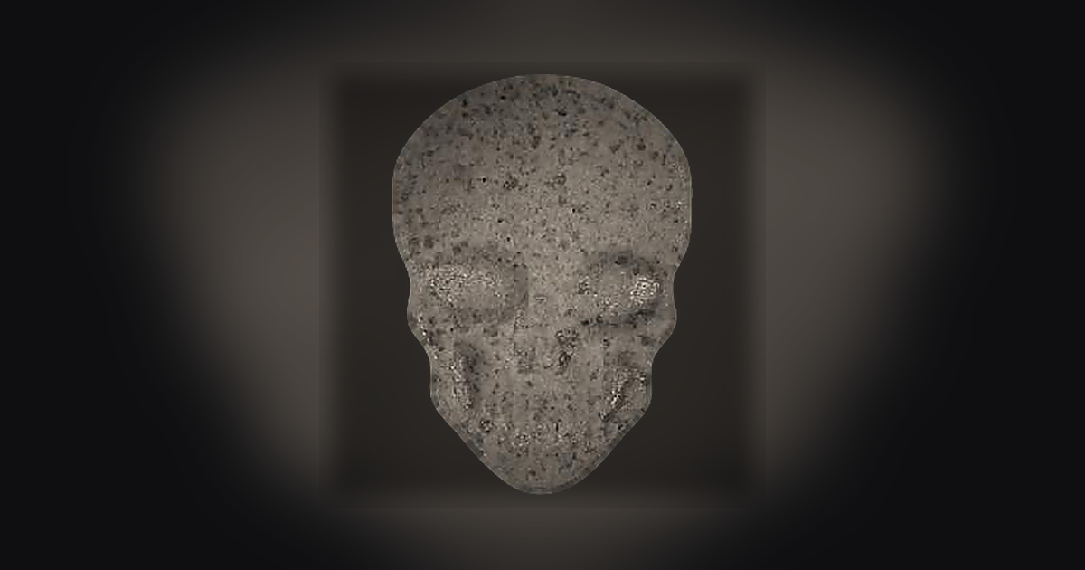 MyBrand Skull