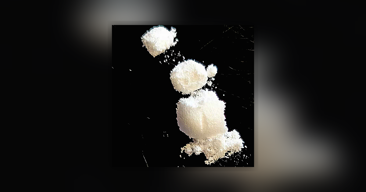 Cocaine (54%); Phenacetin (22%); Unknown