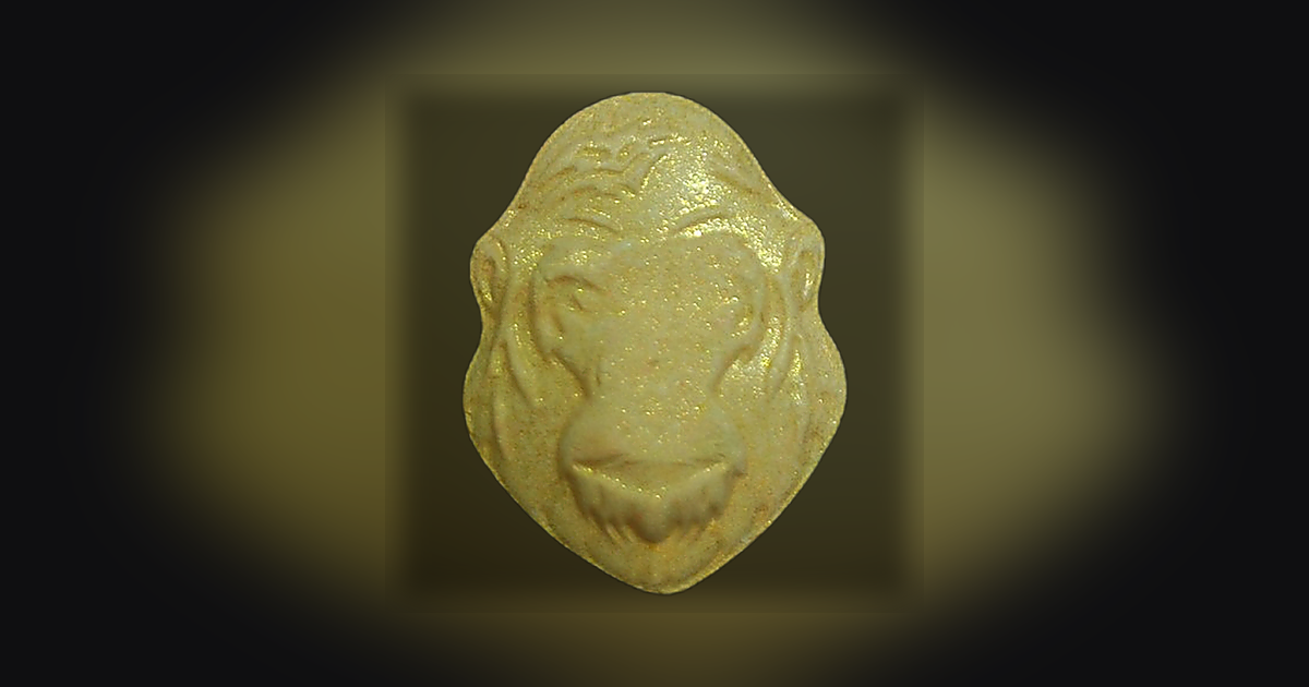 Gorilla