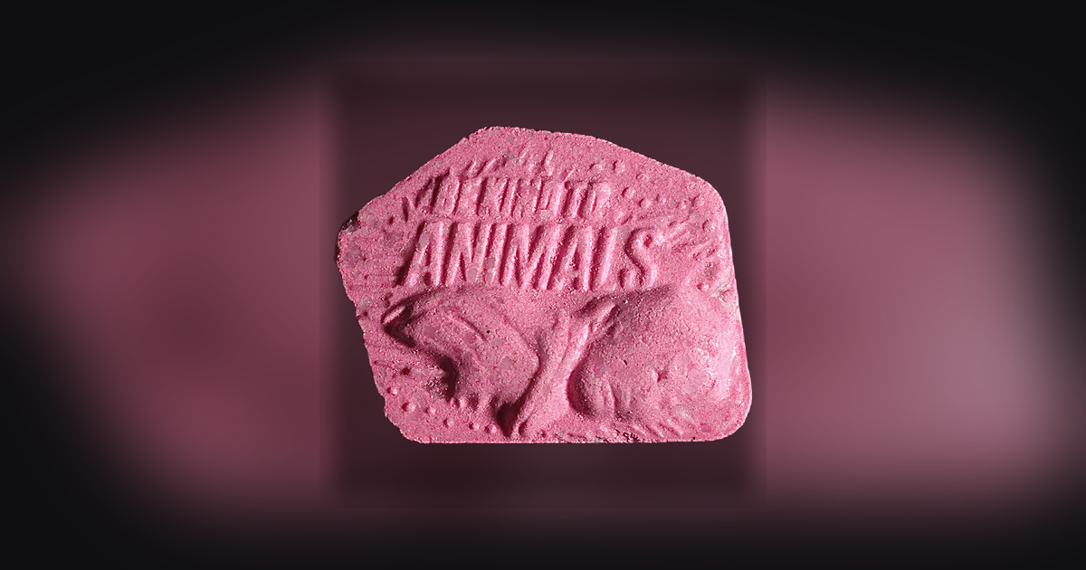 Be Kind To Animals