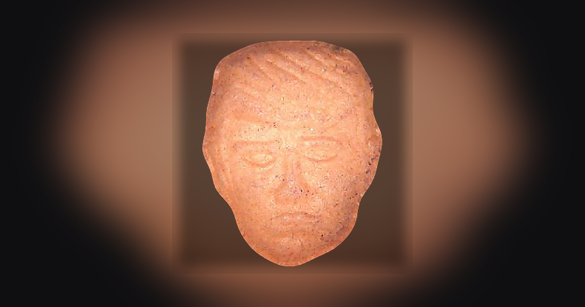 Trump, NL
