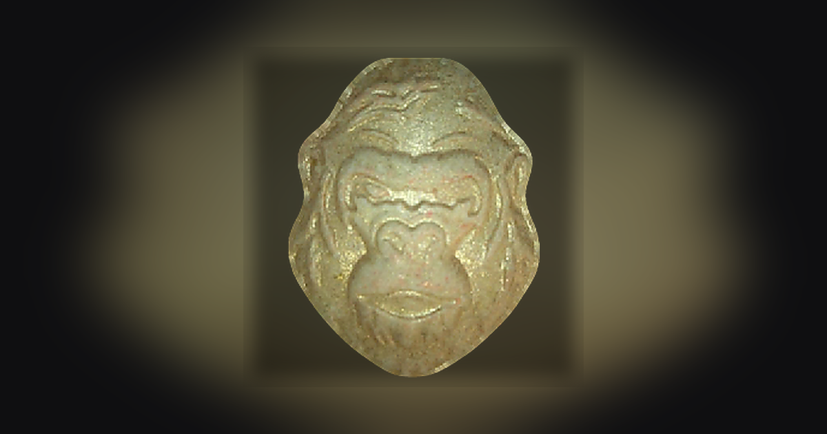 Gorilla