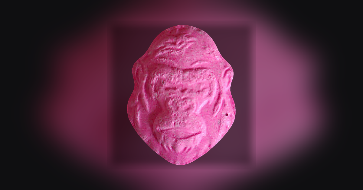 Gorilla