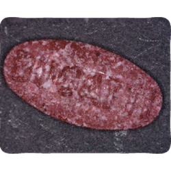 Red Bugatti ecstasy pill (XTC) — MDMA 173mg — Vienna, Austria