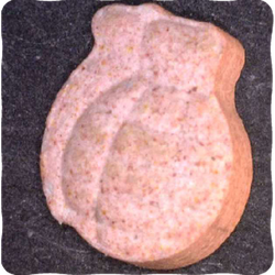 Red Wie Vorderseite ecstasy pill (XTC) — MDMA 134mg — Vienna, Austria