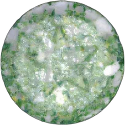 Green Star ecstasy pill (XTC) — MDMA 122mg; Caffeine 19mg — Vienna, Austria