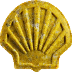 Yellow Shell ecstasy pill (XTC) — MDMA 180mg — Zürich, Switzerland