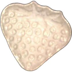 Yellow Wie Vorderseite ecstasy pill (XTC) — MDMA 177mg — Vienna, Austria