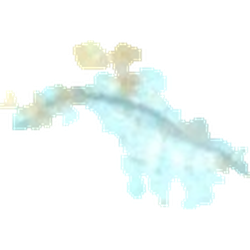 White Delfin ecstasy pill (XTC) — MDMA 47mg; Caffeine 2mg; Synthesis impurity — Barcelona, Spain