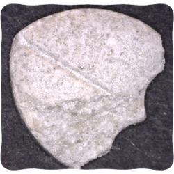 Purple Dom Perignon ecstasy pill (XTC) — MDMA 201mg — Vienna, Austria