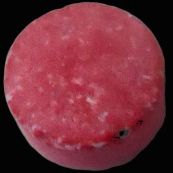 Pink Unknown pill — Caffeine 162mg — Baleares, Spain