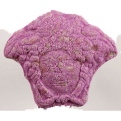 Purple Versace ecstasy pill (XTC) — MDMA 127mg — Zürich, Switzerland