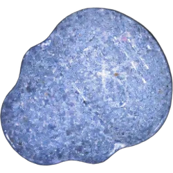 Purple Tomorrowland ecstasy pill (XTC) — MDMA 236mg — Vienna, Austria