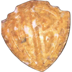 Yellow Warner Bros ecstasy pill (XTC) — MDMA 103mg — Vienna, Austria