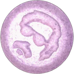 Purple Pablo Escobar ecstasy pill (XTC) — MDMA 140mg — Vienna, Austria