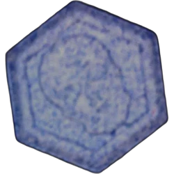 Blue Skull ecstasy pill (XTC) — MDMA 214mg — Vienna, Austria