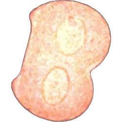 Orange Bentley ecstasy pill (XTC) — MDMA 179mg — Vienna, Austria