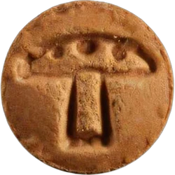 Orange Mushroom pill — 2C-B 11mg; 2C-H 0.3mg — Zürich, Switzerland