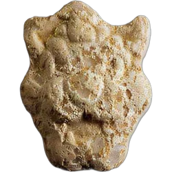 Brown Bowser ecstasy pill (XTC) — MDMA 215mg — Zürich, Switzerland