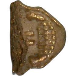 Orange Skull ecstasy pill (XTC) — MDMA — Madrid, Spain