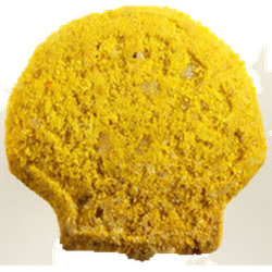 Yellow Shell ecstasy pill (XTC) — MDMA 141mg — Zürich, Switzerland