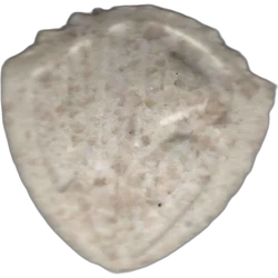 Orange Warner Bros ecstasy pill (XTC) — MDMA 156mg — Barcelona, Spain