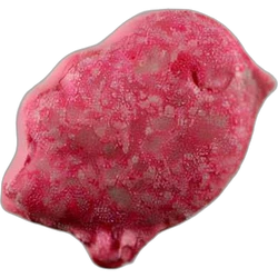 Red Bird ecstasy pill (XTC) — MDMA 164mg — Zürich, Switzerland