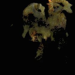 Brown Crystals pill — 4F-MDMB-BINACA; 5F-MDMB-PICA; CBD; MDMB-4en-PINACA — Zürich, Switzerland
