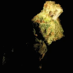 Yellow Crystals pill — CBD; MDMB-4en-PINACA; THJ-018 — Zürich, Switzerland