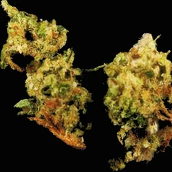 Yellow Crystals pill — 5F-MDMB-PICA; CBD — Zürich, Switzerland