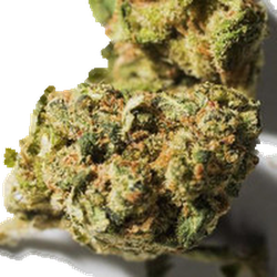 Yellow Crystals pill — 4F-MDMB-BINACA; 5F-MDMB-PICA; CBD; MDMB-4en-PINACA — Bern, Switzerland