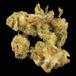 Yellow Crystals pill — CBD; MDMB-4en-PINACA; THC — Zürich, Switzerland