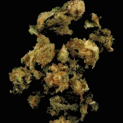 Brown Crystals pill — CBD; MDMB-4en-PINACA; THC — Zürich, Switzerland