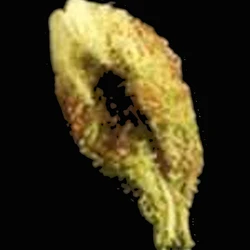 Brown Crystals pill — 5F-MDMB-PICA; CBD; MDMB-4en-PINACA; THC — Zürich, Switzerland