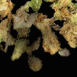Yellow Crystals pill — 5F-MDMB-PICA; CBD; MDMB-4en-PINACA; THC — Zürich, Switzerland