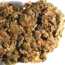 Brown Crystals pill — 5F-MDMB-PICA; CBD; THC — Bern, Switzerland