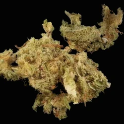 Brown Crystals pill — CBD; MDMB-4en-PINACA; THC — Zürich, Switzerland