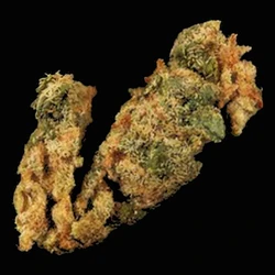 Brown Crystals pill — 5F-MDMB-PICA; CBD; THC — Zürich, Switzerland