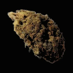 Brown Crystals pill — 5F-AB-PINACA — Bern, Switzerland