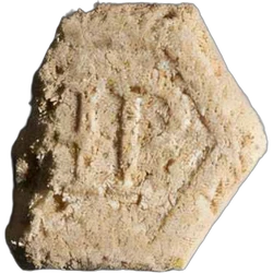 Brown Philipp Plein ecstasy pill (XTC) — MDMA 202mg — Bern, Switzerland