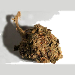 Brown Crystals pill — CBD; MDMB-4en-PINACA; THC — Bern, Switzerland