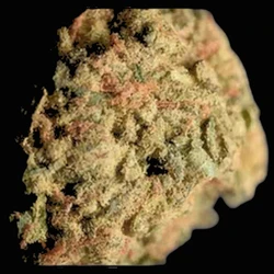 Brown Lion ecstasy pill (XTC) — 4F-MDMB-BINACA; 5F-MDMB-PICA; CBD; MDMB-4en-PINACA; THC — Basel, Switzerland
