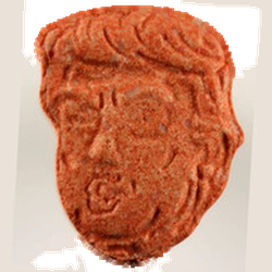Brown Trump ecstasy pill (XTC) — MDMA 169mg — Zürich, Switzerland