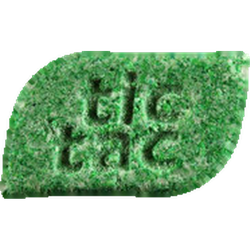 Green Tictac ecstasy pill (XTC) — MDMA 225mg — Zürich, Switzerland