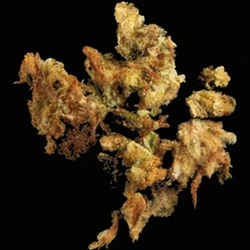 Brown Crystals pill — 5F-ADBICA; 5F-MDMB-PICA; CBD; MDMB-4en-PINACA; THC — Zürich, Switzerland
