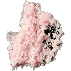 Pink Crystals pill — Ketamine; MDMA — Zürich, Switzerland
