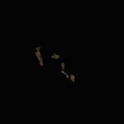 Brown Crystals pill — 5-fluoro-ADB; CBD; MDMB-4en-PINACA; THC — Zürich, Switzerland